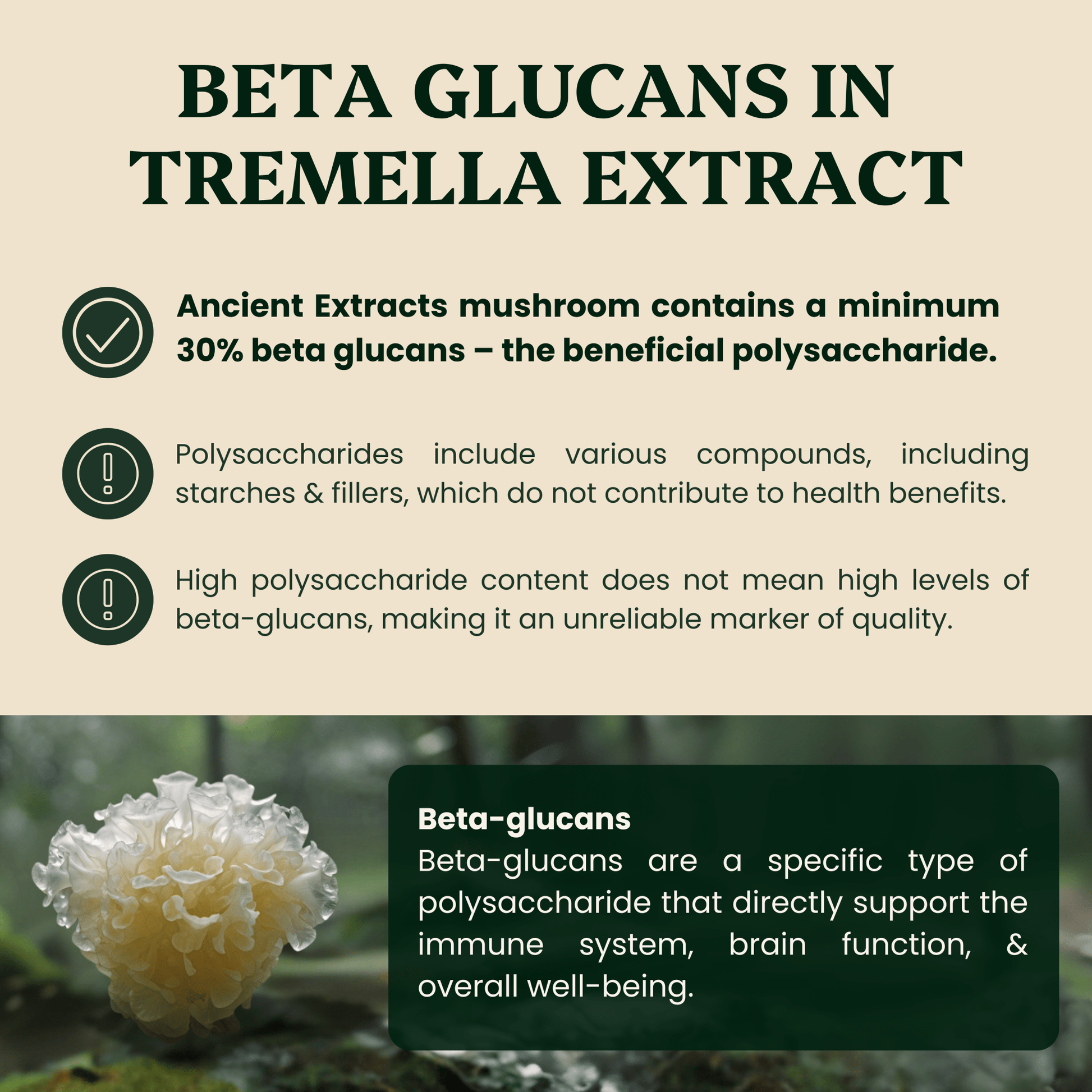 Ancient Extracts Tremella Mushroom Extract Powder