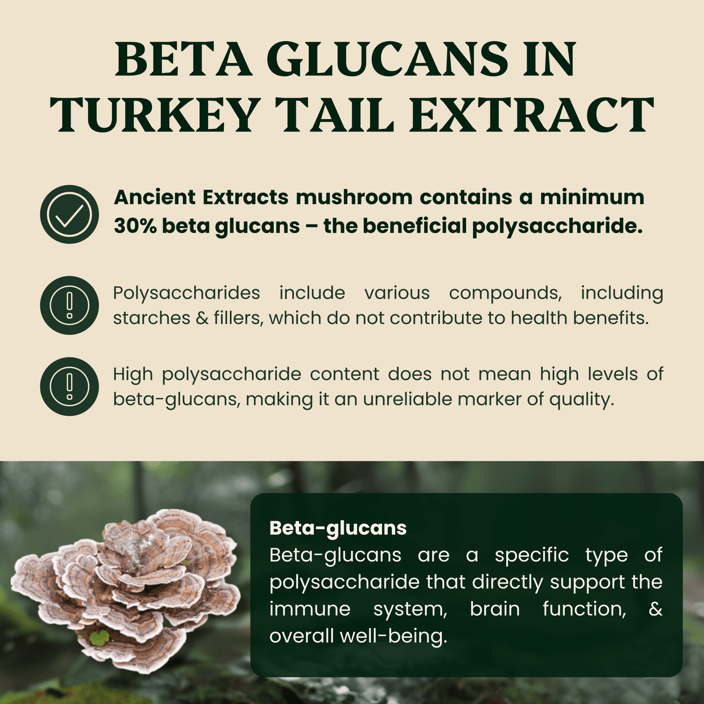 Ancient Extracts Turkey Tail Mushroom Extract for Pets