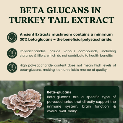 Ancient Extracts Turkey Tail Mushroom Extract for Pets