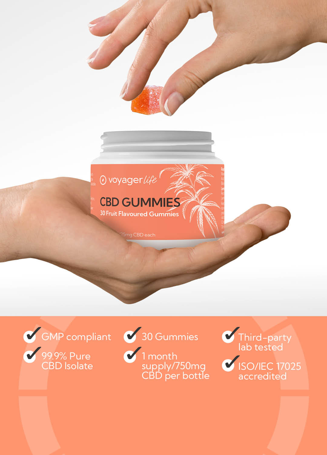 Voyager CBD Gummies 750mg 30 Pack