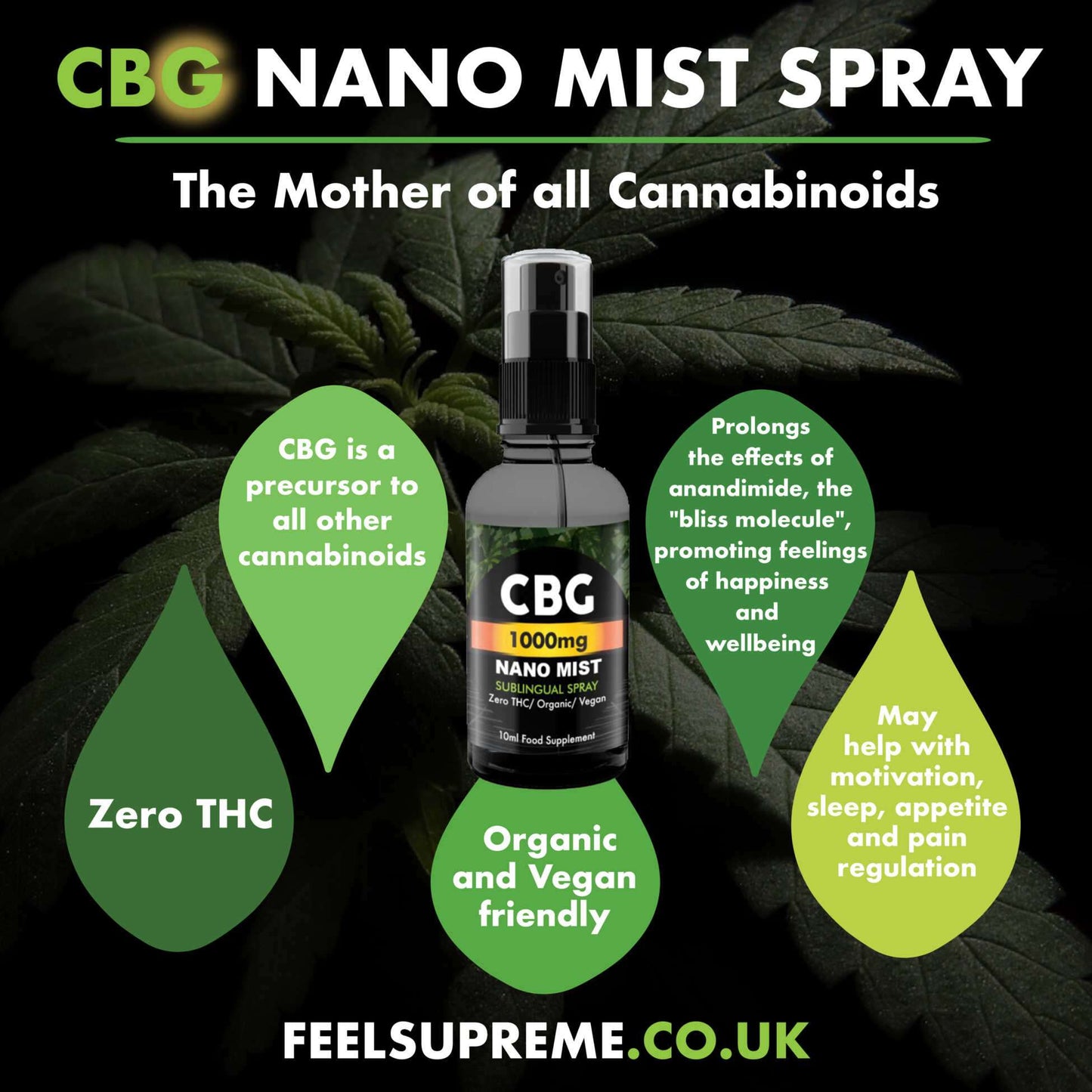 Feel Supreme CBG Nano Spray 500mg