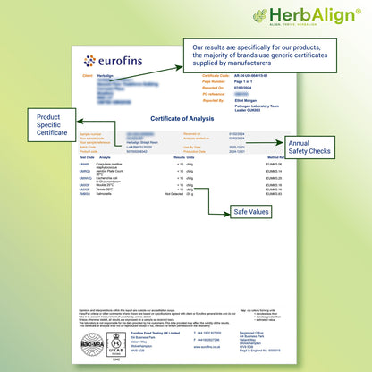 Herbalign Organic Shilajit Resin