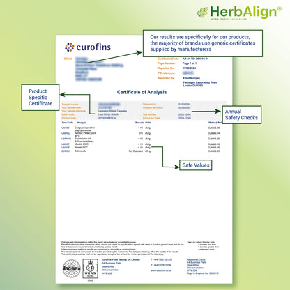 Herbalign Shilajit Capsules