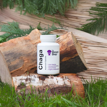 The Shroom Shop Chaga Mushroom Capsules 90 Capsules product image