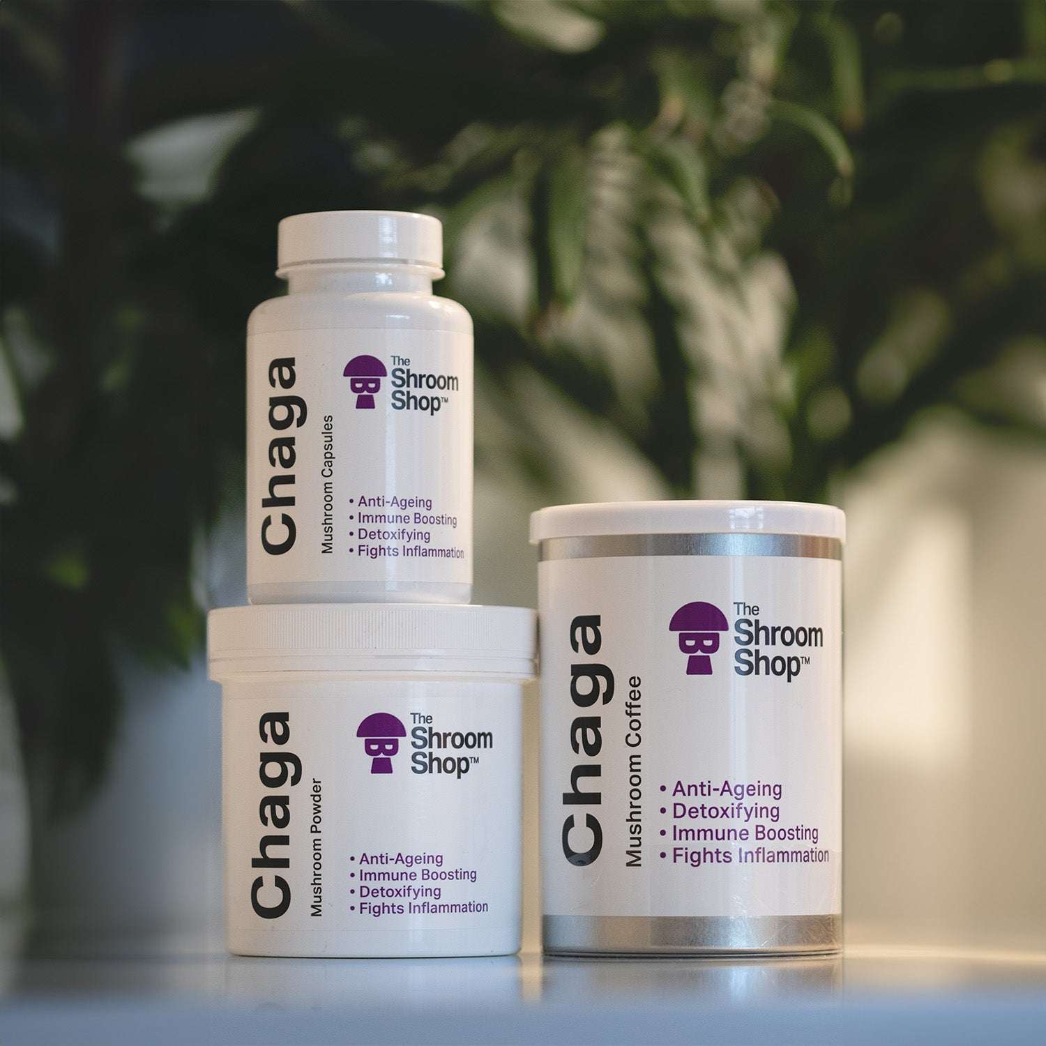 The Shroom Shop Chaga Mushroom Capsules 90 Capsules product image