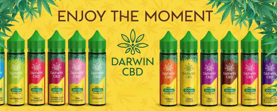 Darwin CBD: The Full Brand Rundown