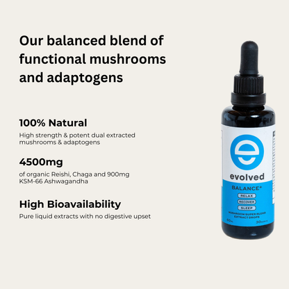 Evolved Balance+ Mushroom Extract Drops - 60ml
