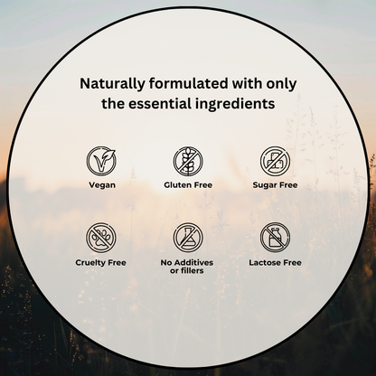 Evolved Clarity+ Mushroom Extract Drops - 60ml