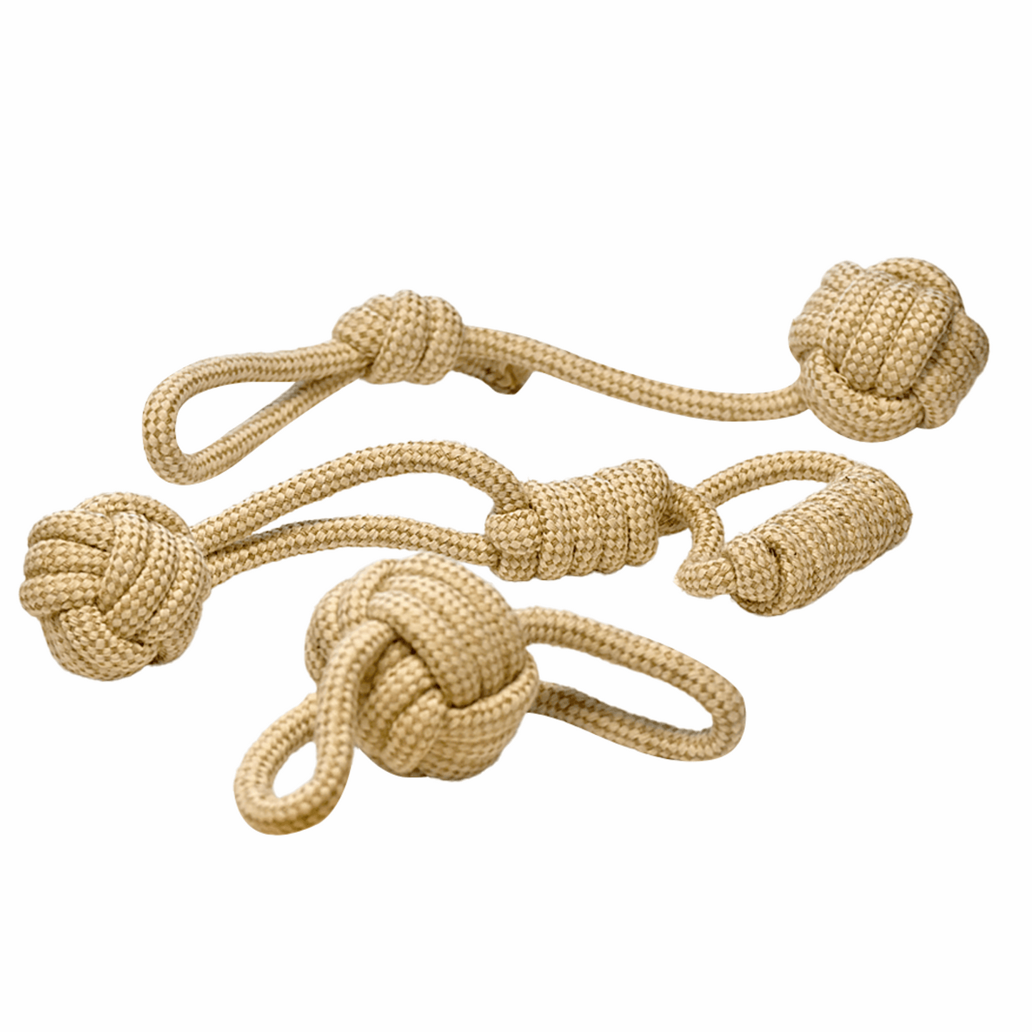 Voyager Hemp Dog Toy Gift Box additional product image