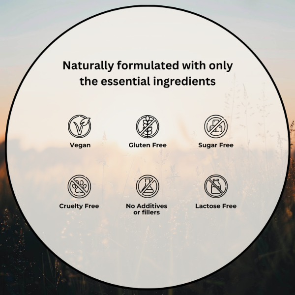 Evolved 'Fix Up, Feel Sharp' Mushroom Focus Gummies Ingredients
