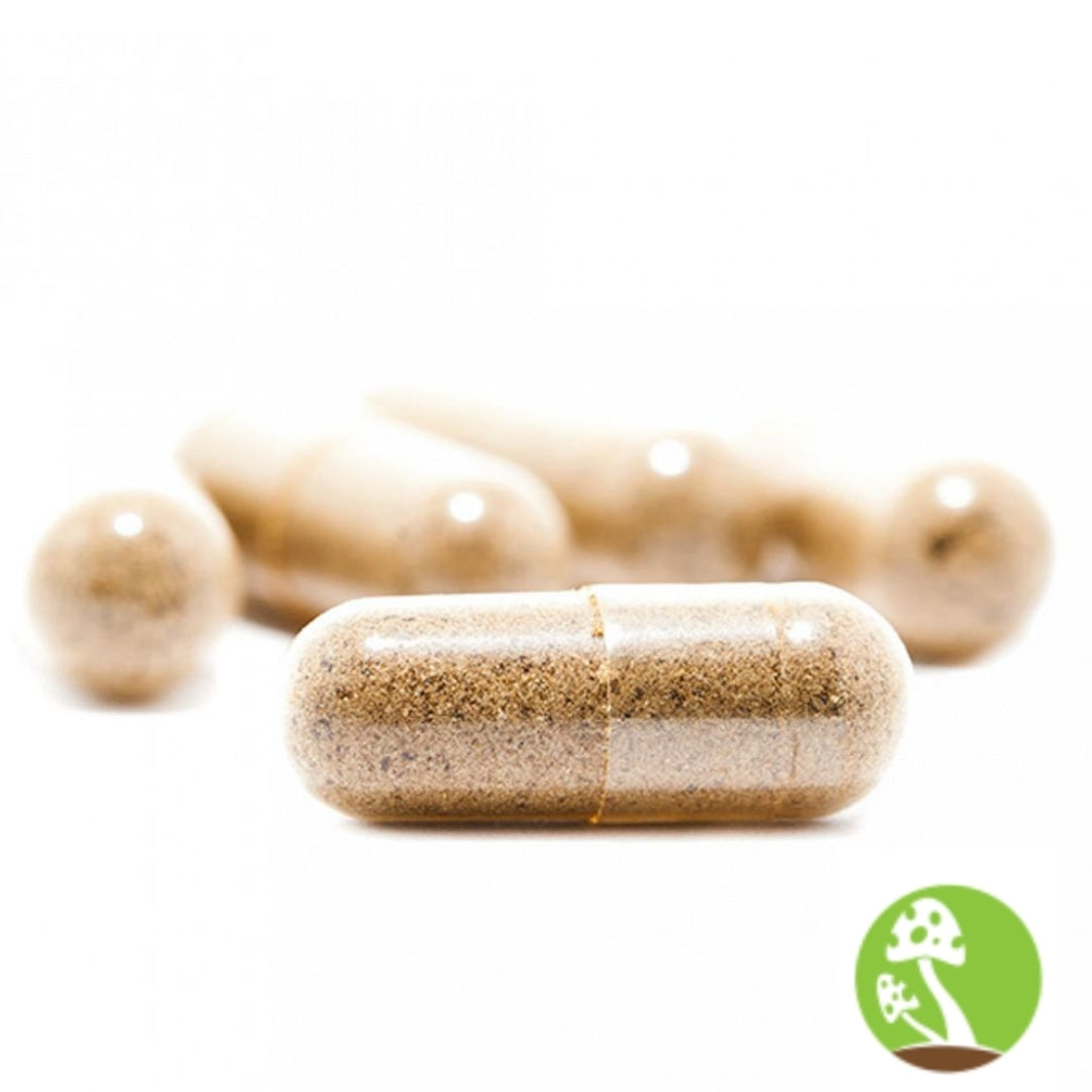 Improved Health Turkey Tail Mushroom Capsules