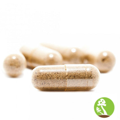 Improved Health Turkey Tail Mushroom Capsules