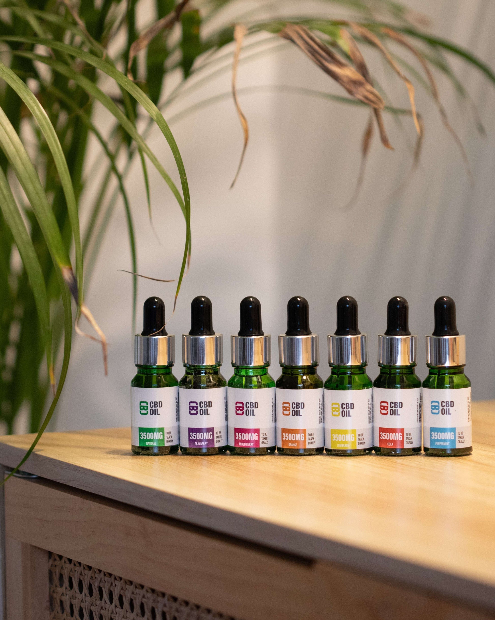 CBD Asylum Açaí Berry CBD Oil 10ml