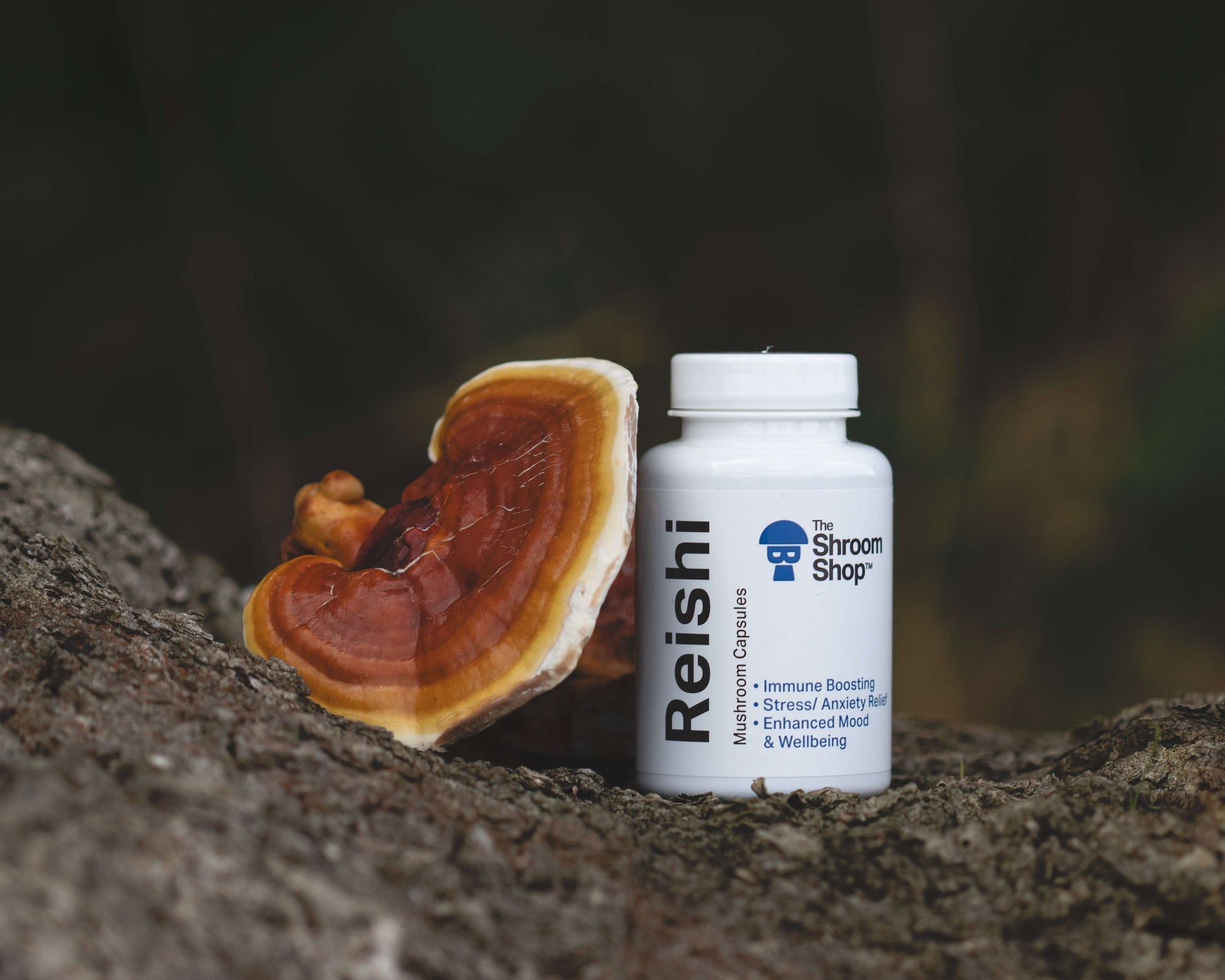 The Shroom Shop Reishi mushroom capsules