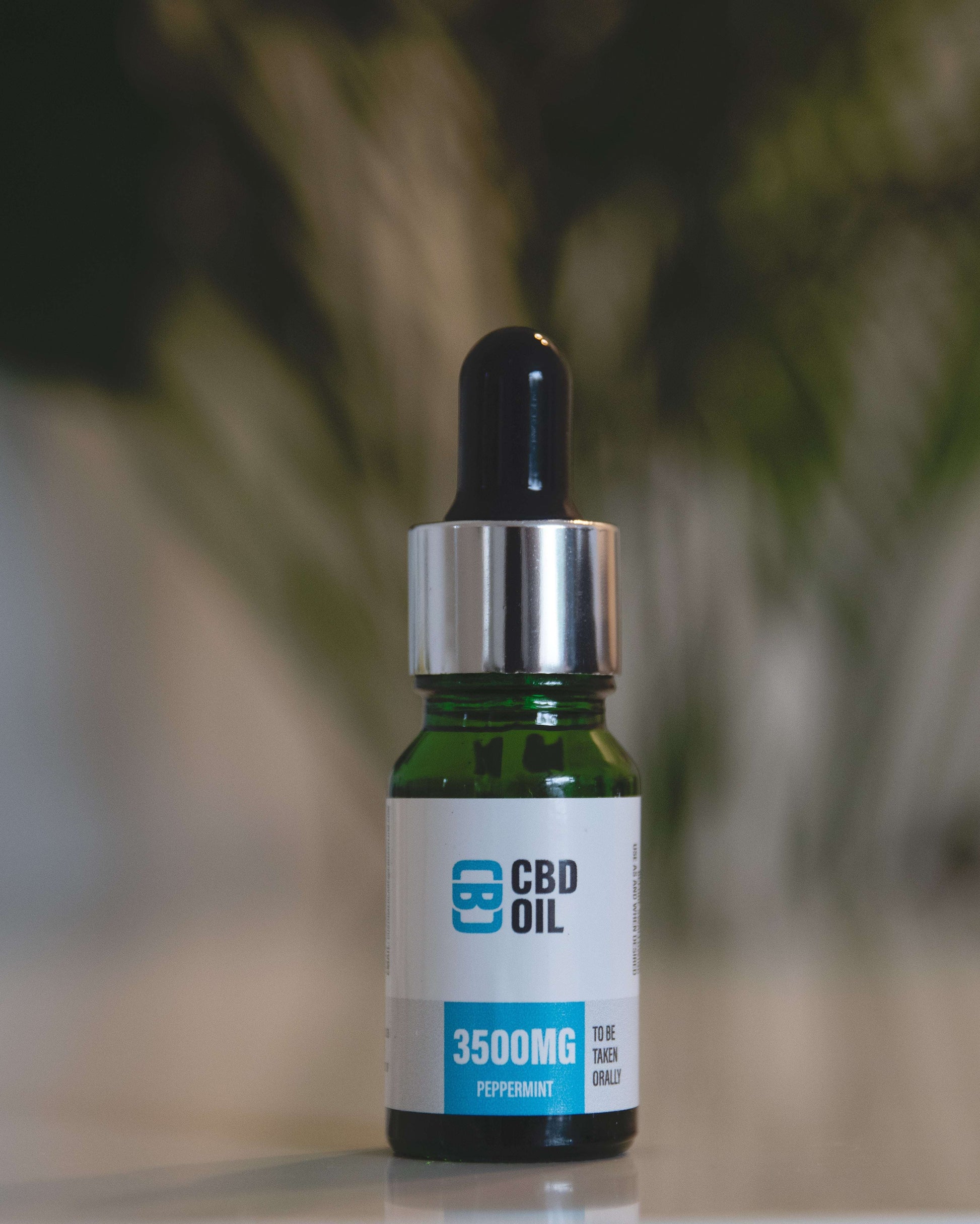 CBD Asylum Peppermint CBD Oil at The CBD Hut