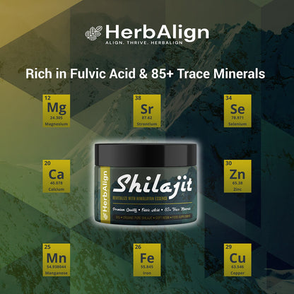 Herbalign Organic Shilajit Resin