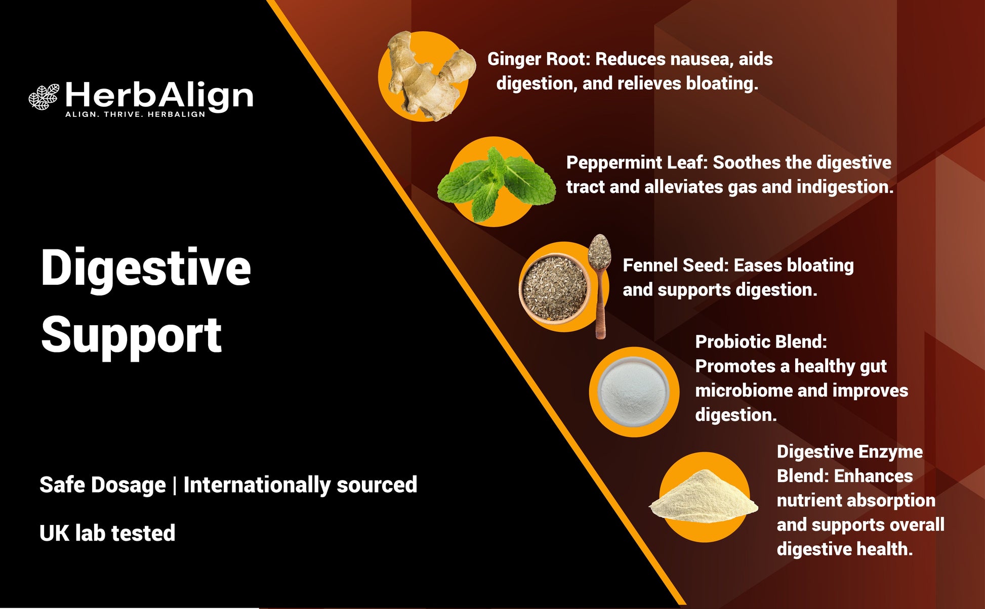Herbalign Digestive Support Capsules with Ginger & Probiotics
