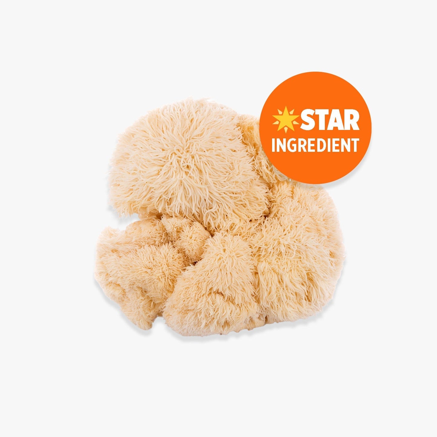Orange County Lion’s Mane Extract 240,000mg at The CBD Hut