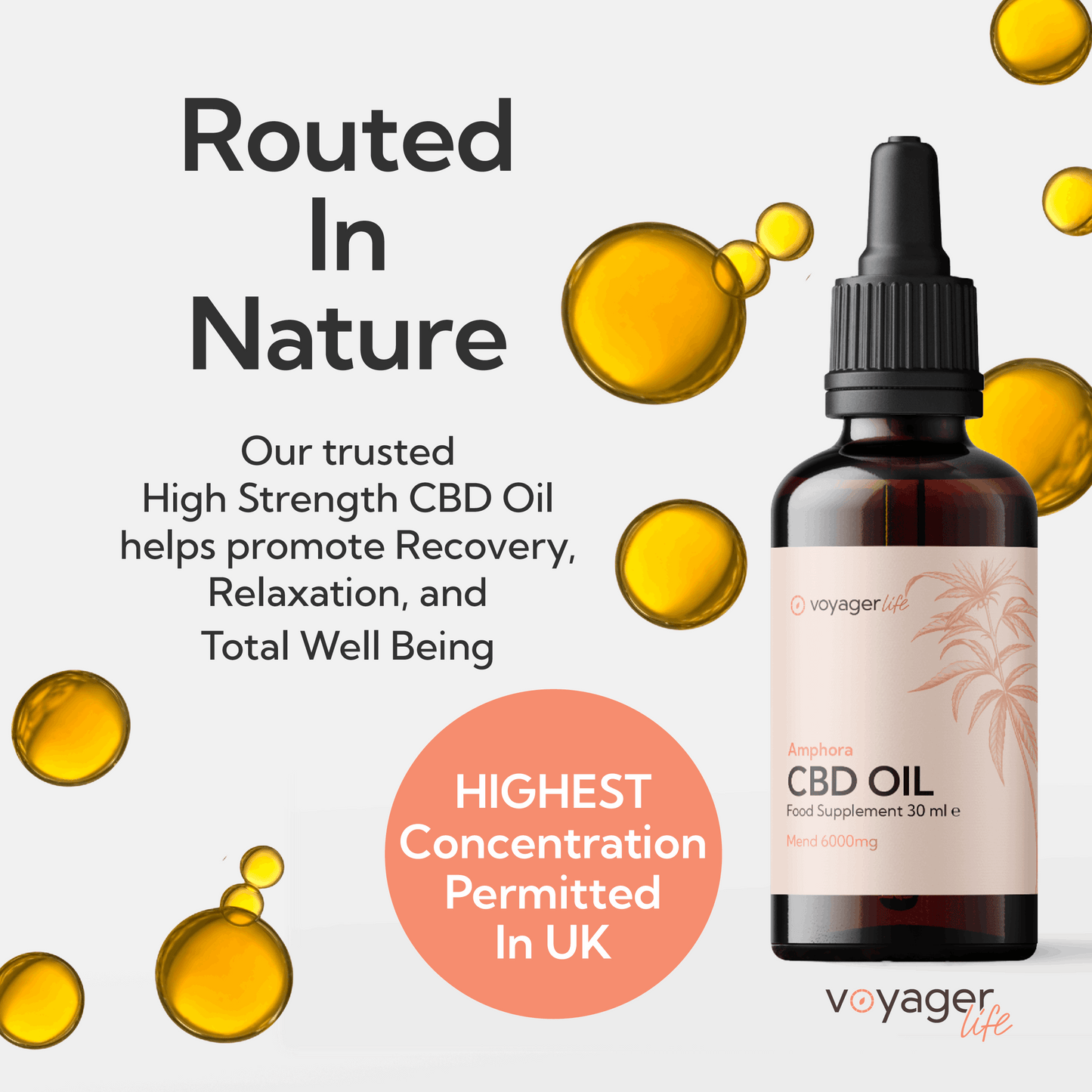 Voyager CBD Mend Oil 6000mg image 7