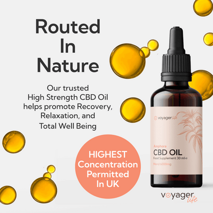 Voyager CBD Mend Oil 6000mg image 7
