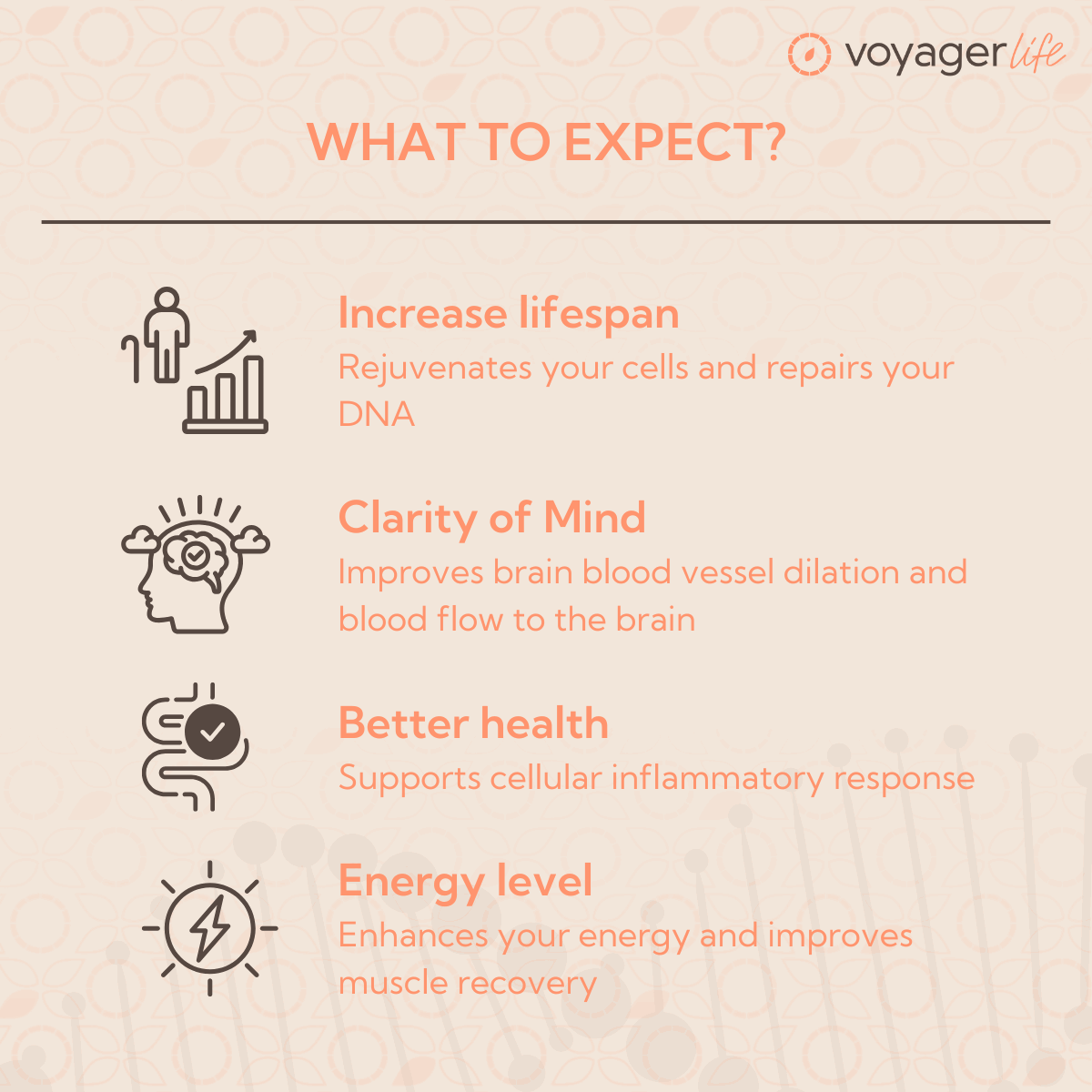 Voyager NMN Supplement Powder 100g tub