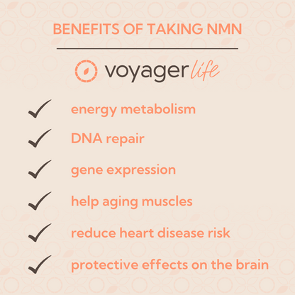 Voyager NMN 500mg Delayed Release 60 Capsules product image 5