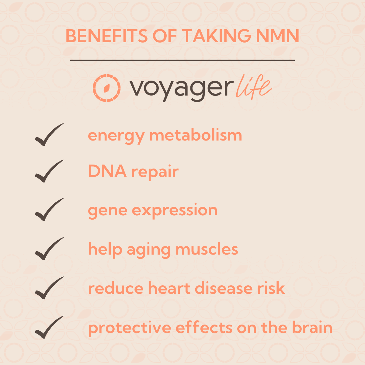 Voyager NMN Supplement Powder 100g tub