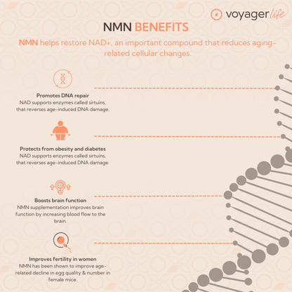 Voyager NMN Supplement Powder 100g