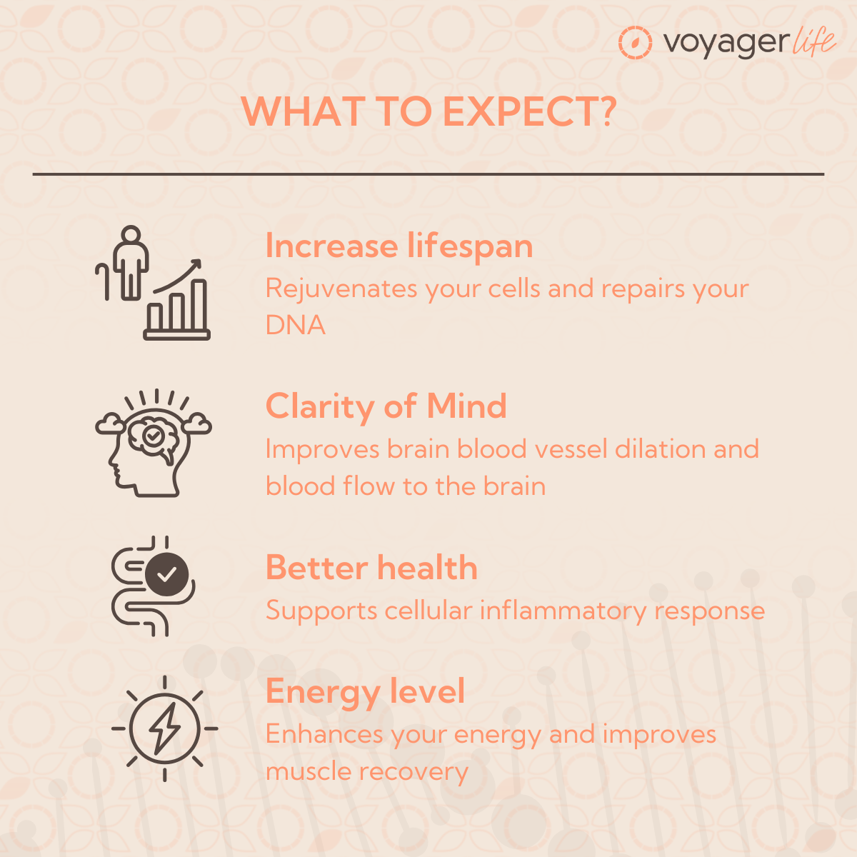 Voyager NMN Supplement Powder 100g
