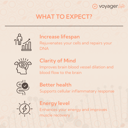 Voyager NMN Supplement Powder 100g