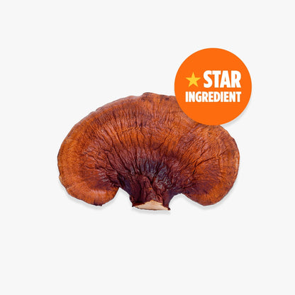 BRAIN FOOD Calm & Unwind Drink 240g