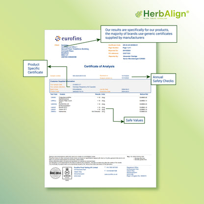 Herbalign Respiratory Support Capsules with Mullein