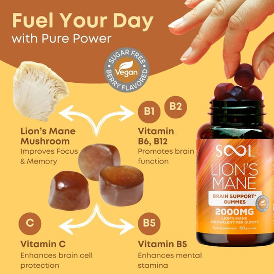 SOOL Lion’s Mane Mushroom Gummies Berry – 60 Lion’s Mane fruiting body extract information