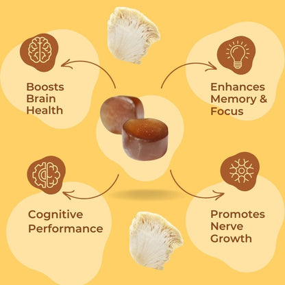 SOOL Lion’s Mane Mushroom Gummies Berry 60 Pack product image 4