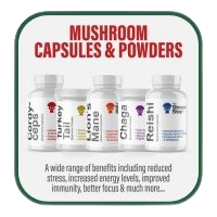 The Shroom Shop Products
