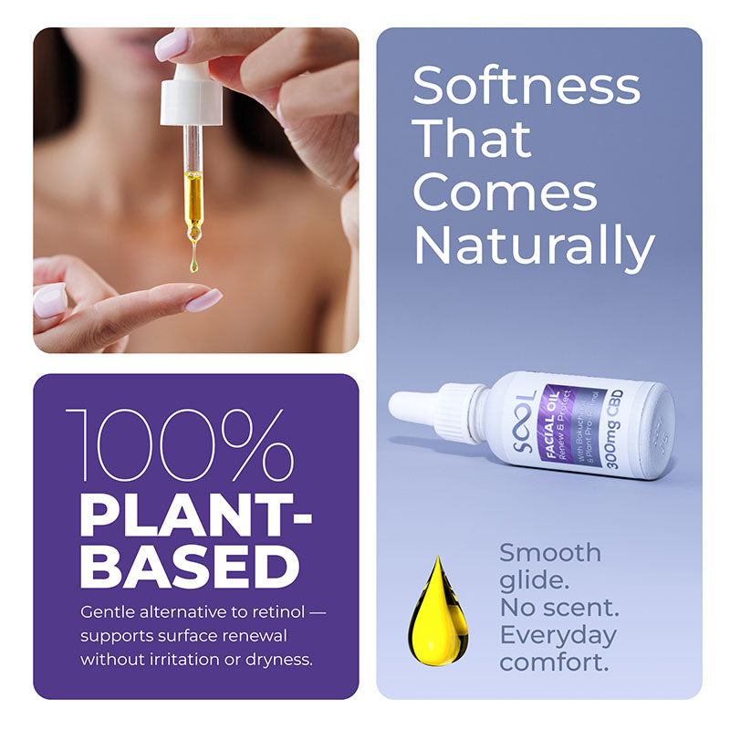 SOOL Renew and Protect CBD Facial Oil bottle