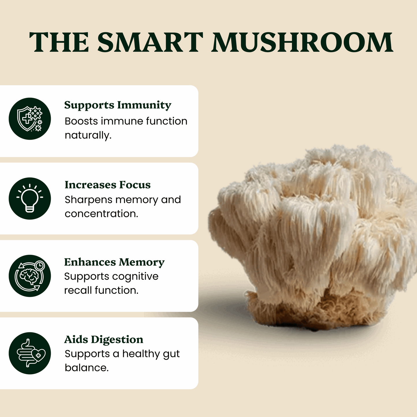 Ancient Extracts Lion’s Mane & Reishi Pair