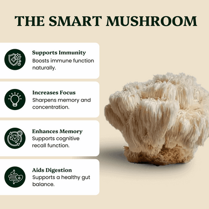 Ancient Extracts Lion’s Mane & Reishi Pair