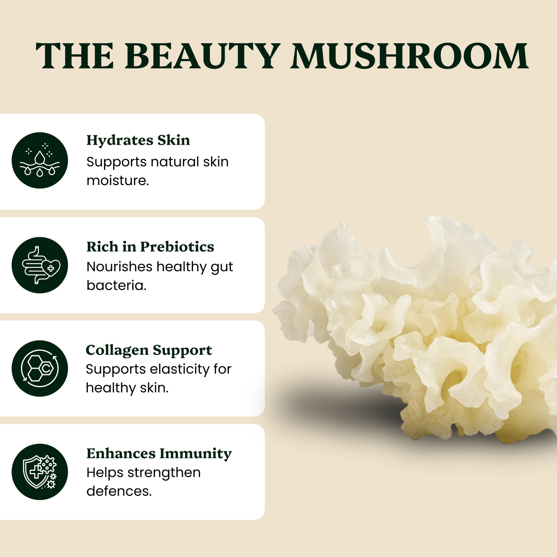 Ancient Extracts Tremella Mushroom Extract Powder