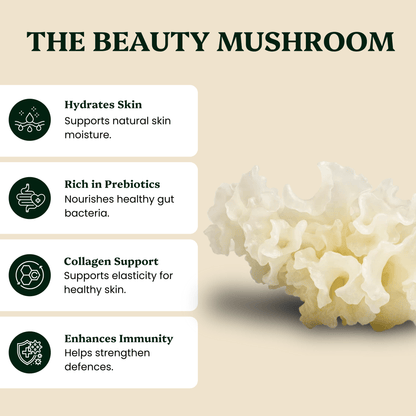 Ancient Extracts Tremella Mushroom Extract Powder