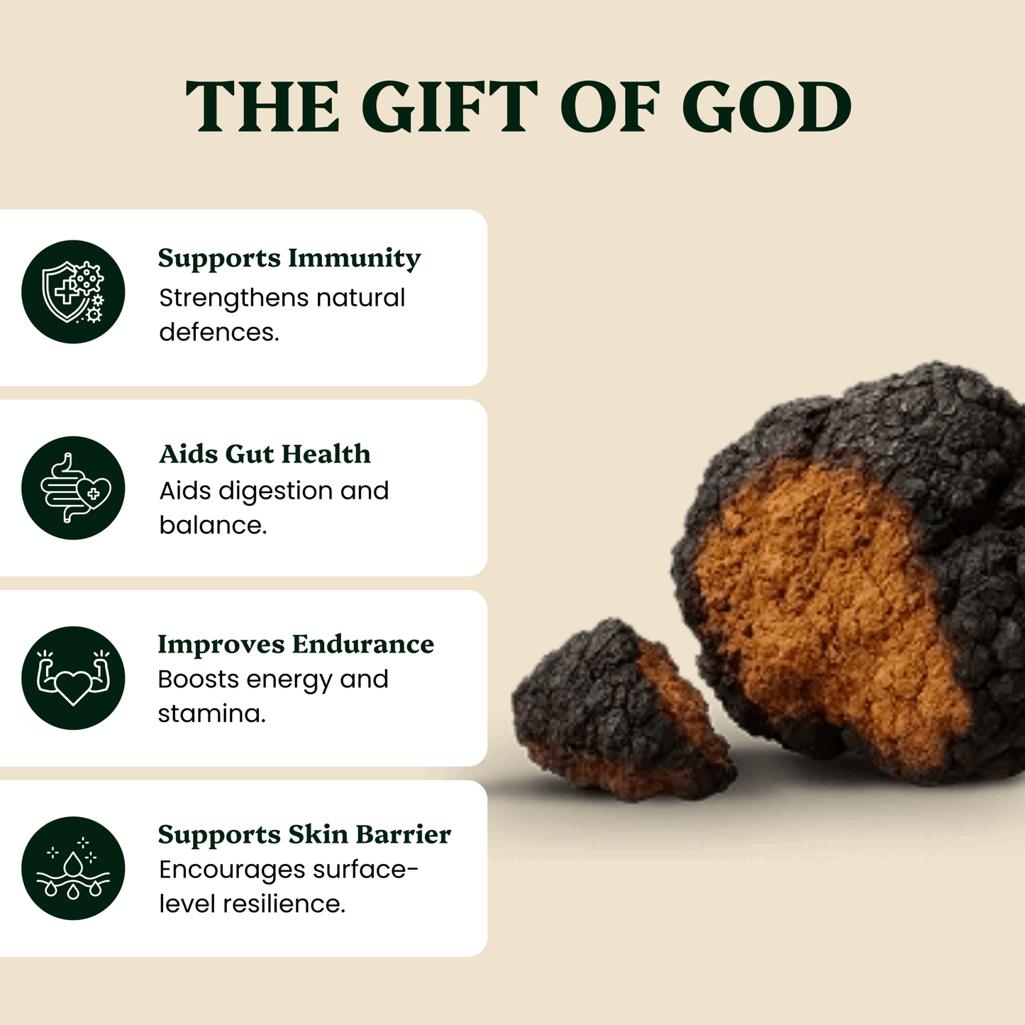 Ancient Extracts Cordyceps & Chaga Energy Pair