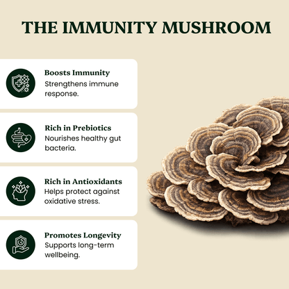 Ancient Extracts Turkey Tail Mushroom Extract for Pets