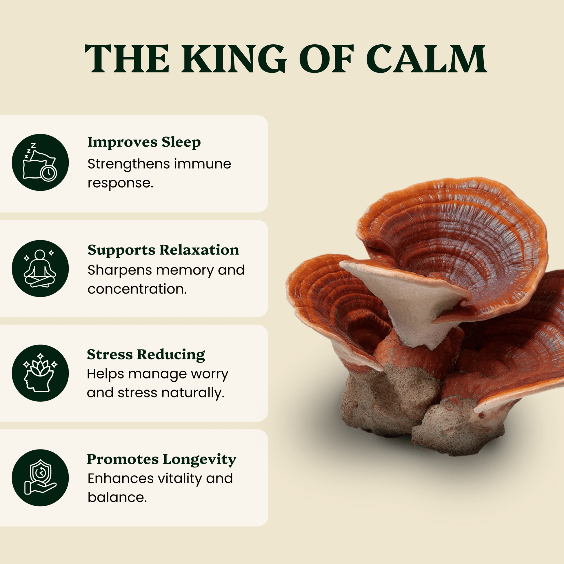 Ancient Extracts Reishi & Cordyceps Balance Pair