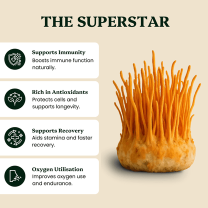 Ancient Extracts Cordyceps & Chaga Energy Pair