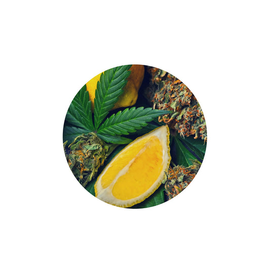 Improved Health Botanical-Derived Terpenes 1ml