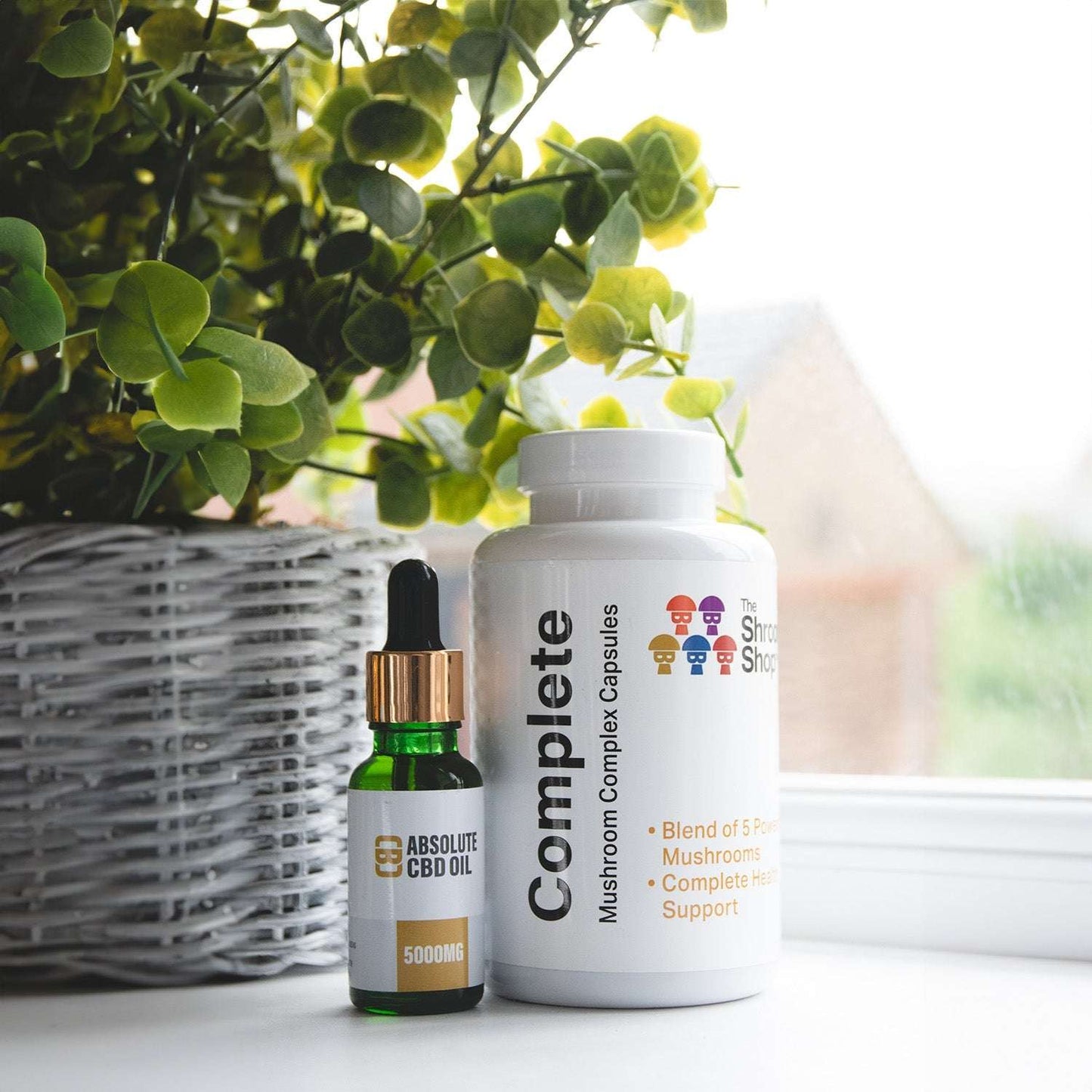 CBD Asylum Ultimate Wellness Bundle - The CBD Hut