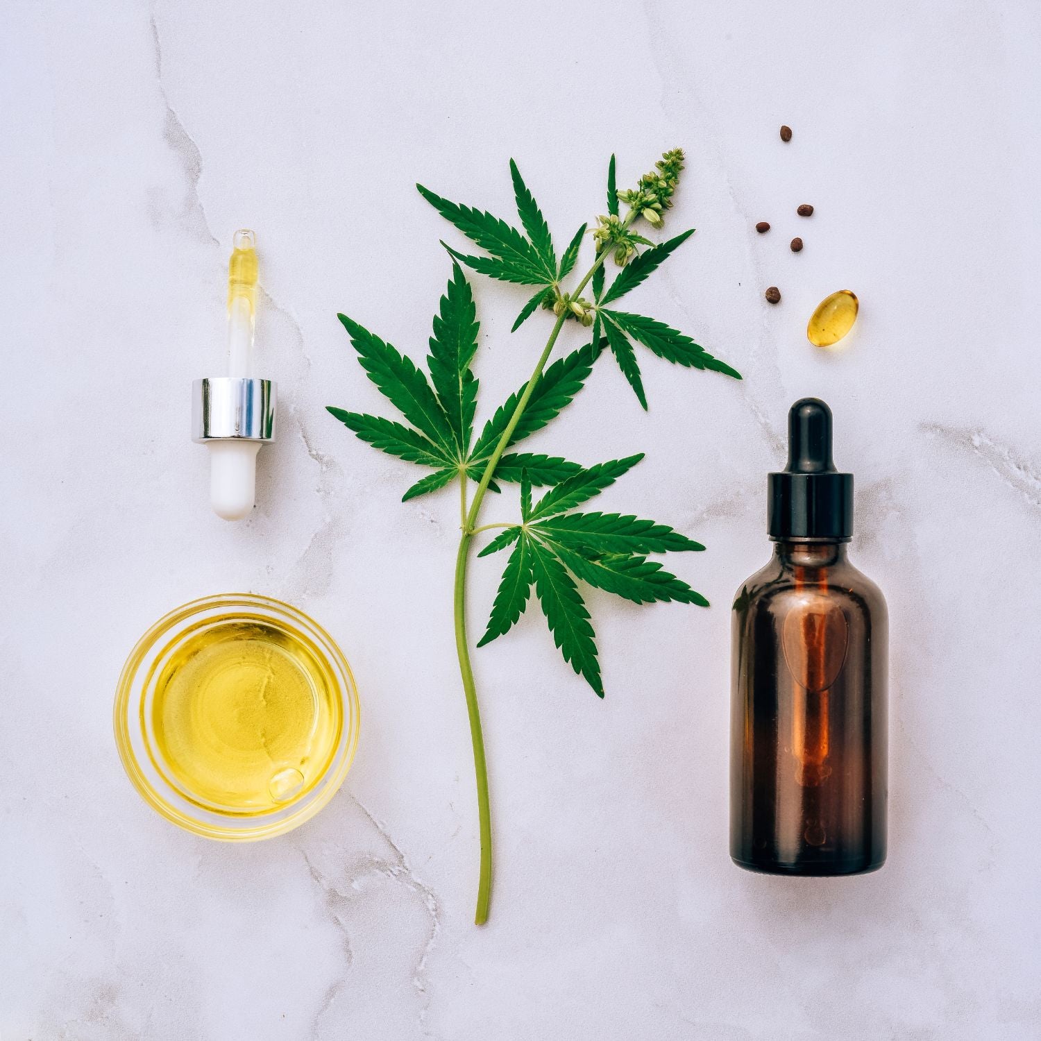 CBD Oil with CBD plant and bottle