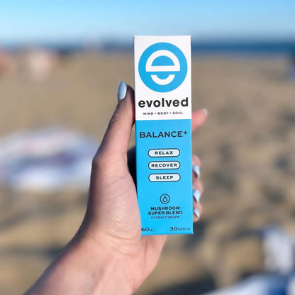 Evolved Daily Balance+ Mushroom Extract | The CBD Hut