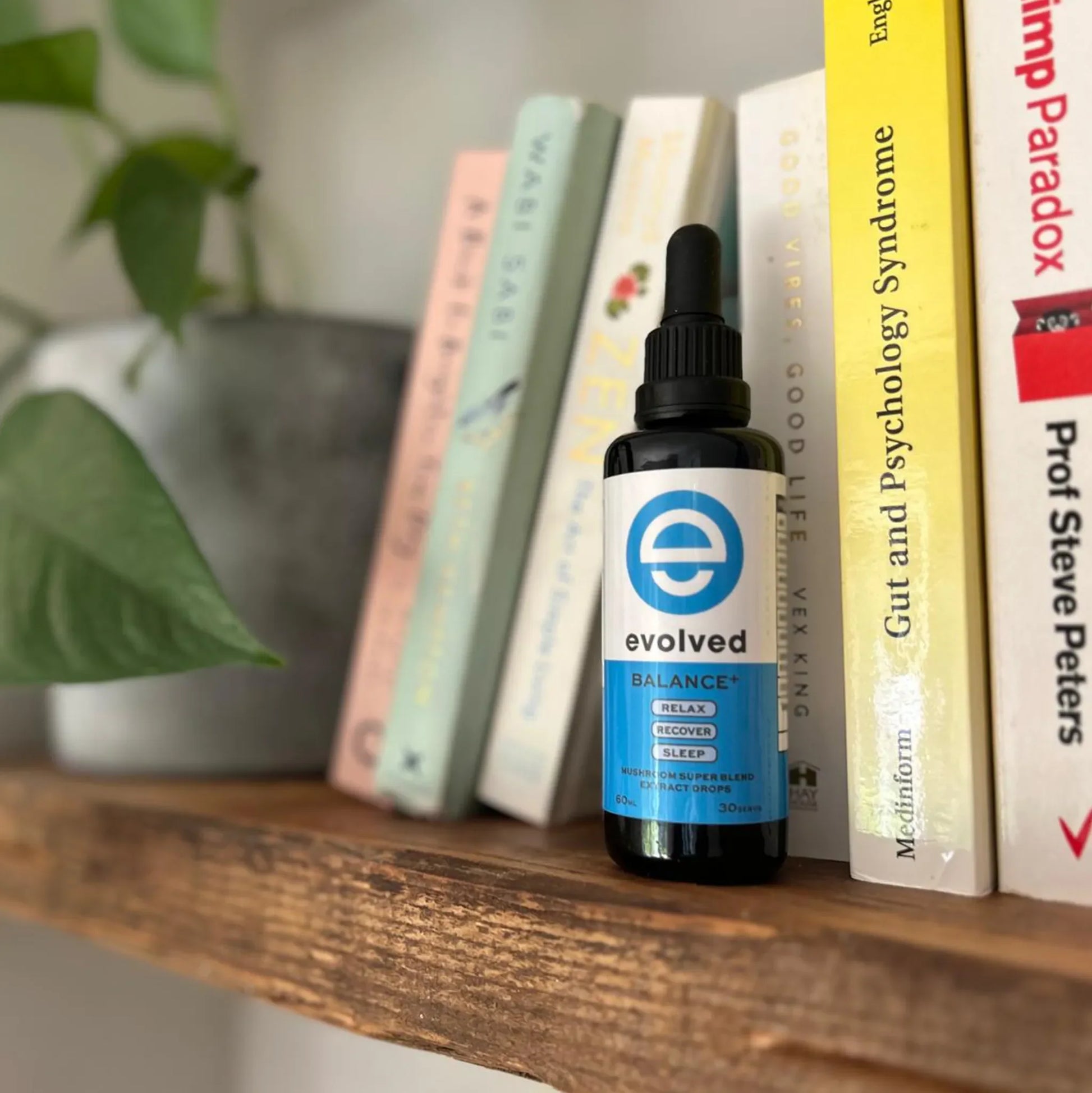 Evolved Daily Balance+ Mushroom Extract | The CBD Hut