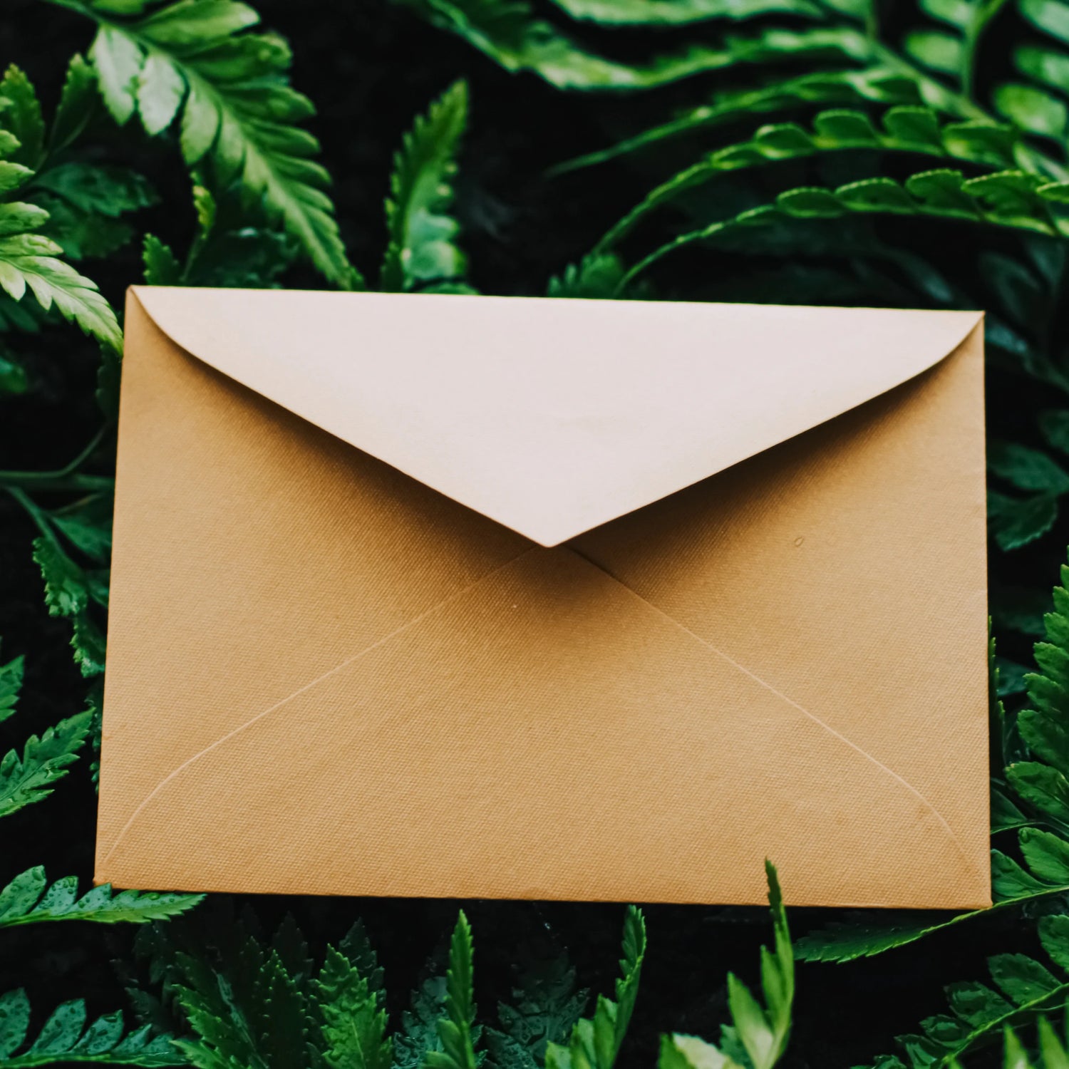 Brown envelope on a green leafy background